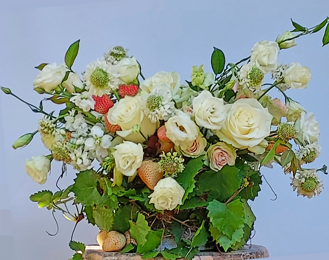 Vines Rooting in Flower Arrangement